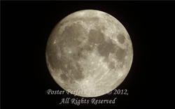 Picture of Full Moon Poster